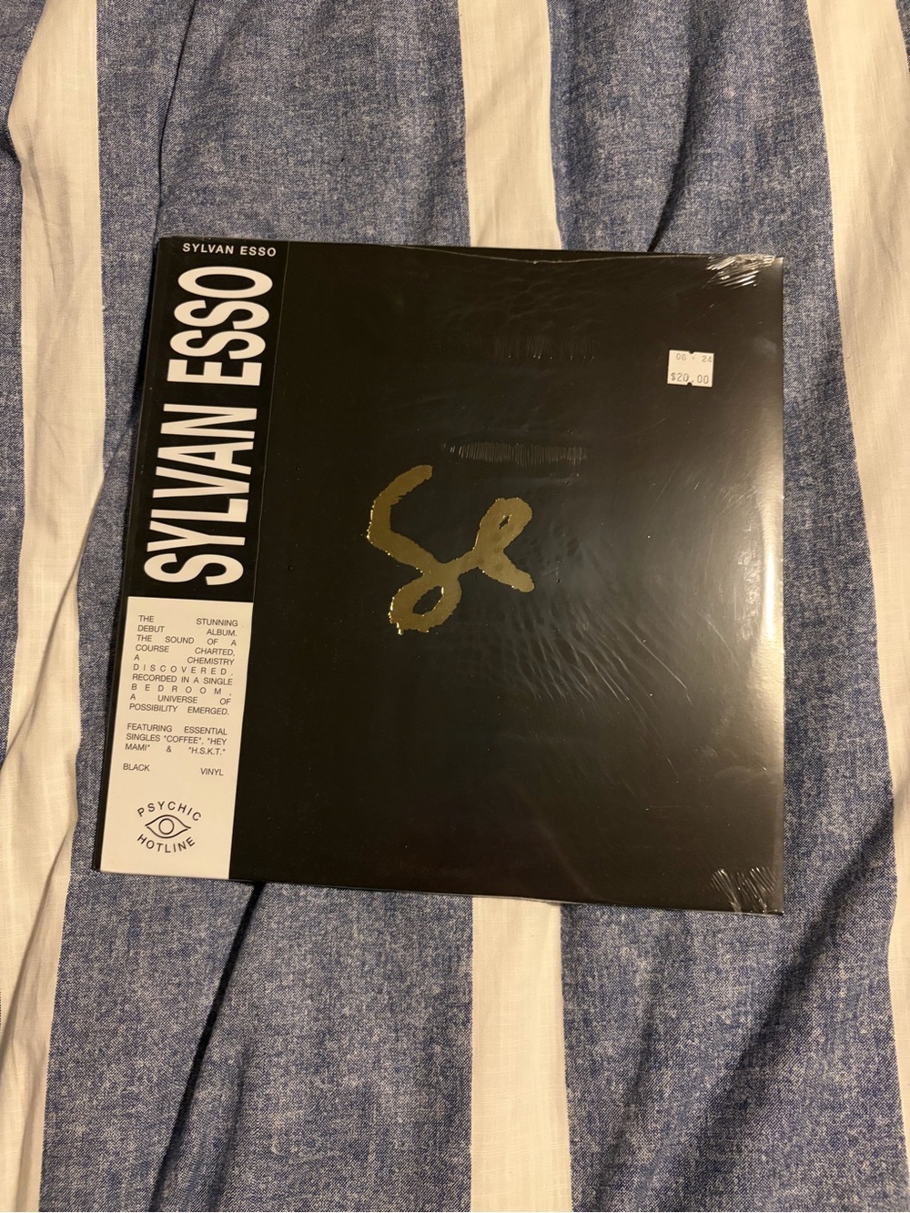 Sylvan Esso by Sylvan Esso (Record, 2021)